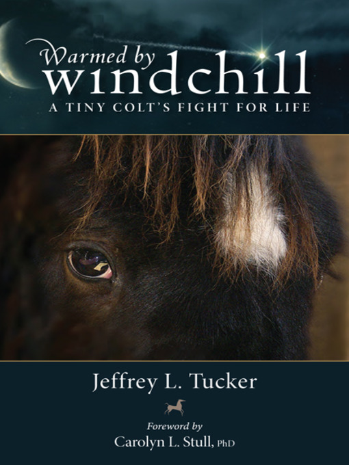 Title details for Warmed by Windchill by Jeffrey L. Tucker - Available